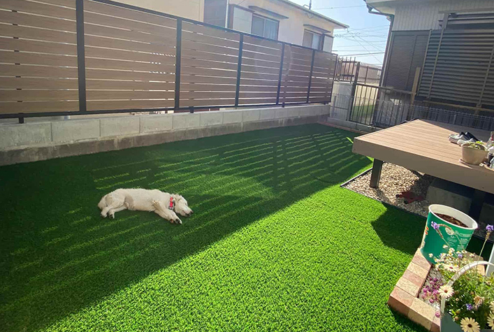 お庭のフェンスと犬