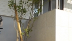 愛知県岡崎市の新築エクステリア;シンプルでおしゃれな植栽のナチュラルモダン外構