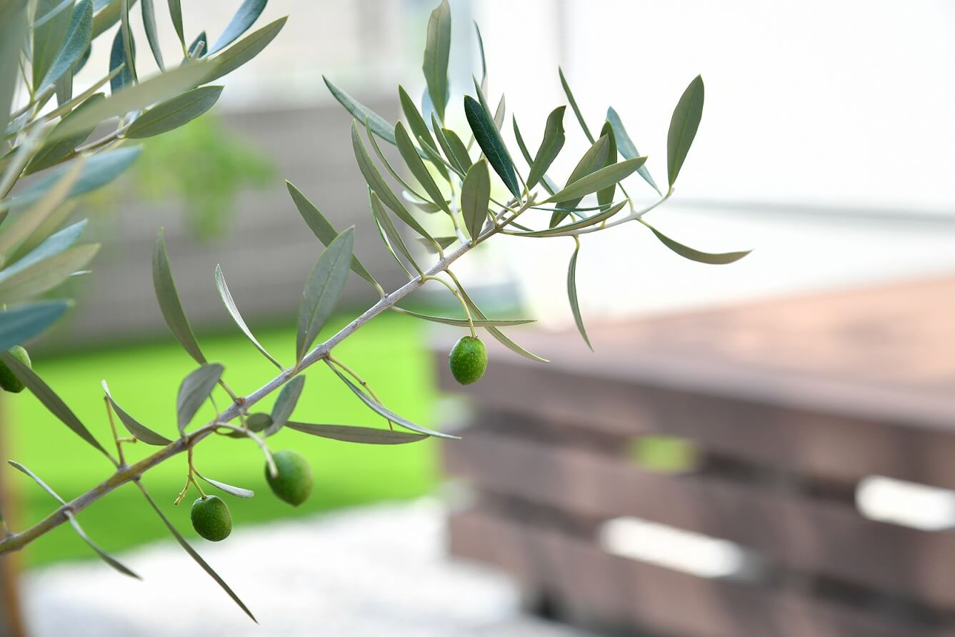 お手入れ簡単 家族でくつろげるお庭のあるモダン外構 無料見積 カーポート ウッドデッキ テラス屋根は愛知県のエクステリア 外構 ライフ ランド