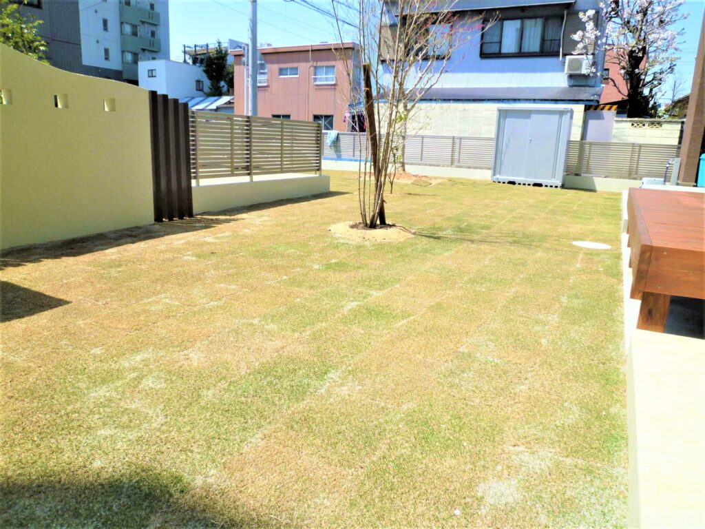 芝生とシンボルツリーを楽しむお庭
