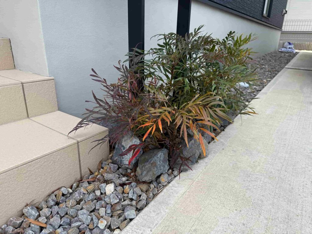 豊田市の機能門柱足元に植えたマホニアコンフューサとグリ石の植栽